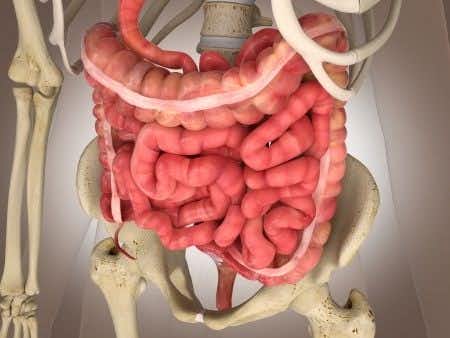 Doctors Fail to Identify Hole in Large Intestine