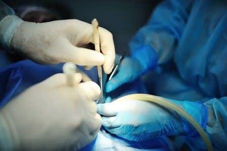 Patient Suffers Multi-Organ Failure Following Unfit Bariatric Surgery