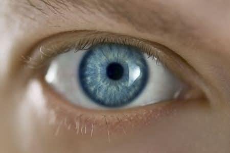 Failure to diagnose retinal detachment results in permanent visual impairment