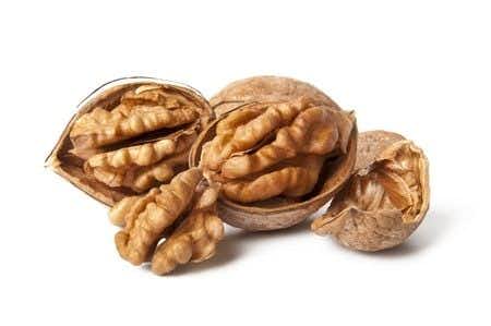 Food Safety Expert Witness Advises on Nut Debris in Food That Injured Patron
